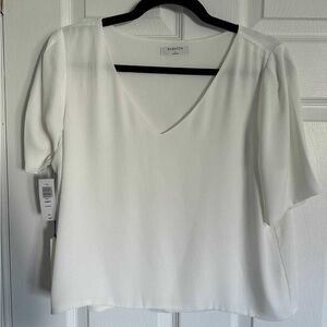 Aritzia Babaton Randy white blouse